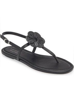 Stuart Weirzman X Sandy Laing Sandals!